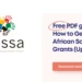 How to Get South African Social Grants